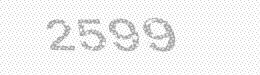Visual security code — type the characters shown in the image